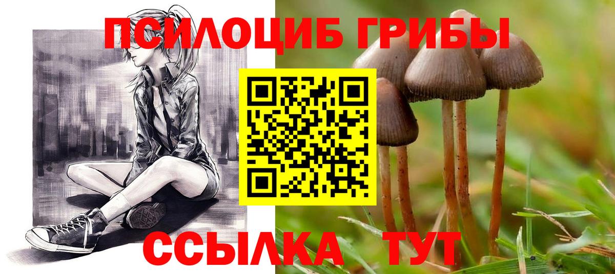 Псилоцибиновые грибы Psilocybe  Вход с VPN  Муром 