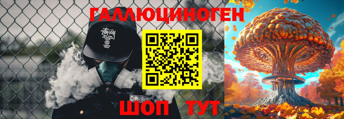 Галлюциногенные грибы Psilocybe Муром